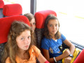 2006 Sommer